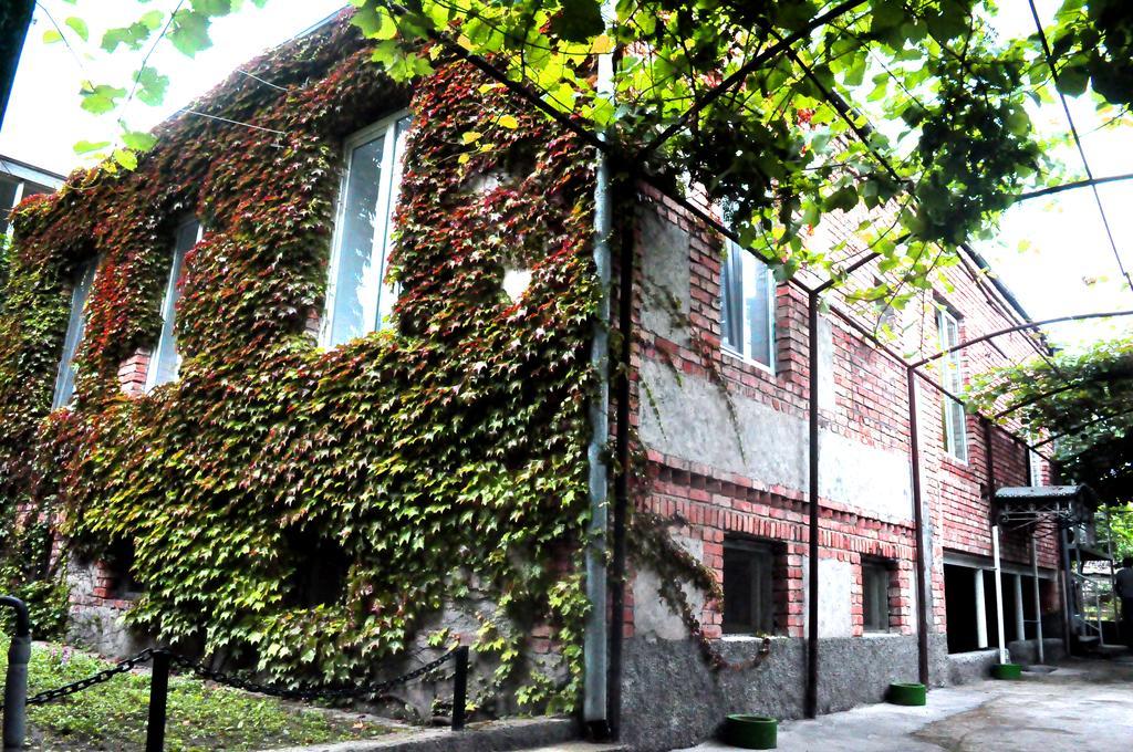 La Deka Guesthouse Lagodekhi Buitenkant foto